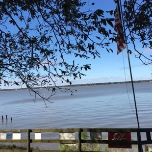 Vew of the lake from under the ancient pecan tree on the deck.