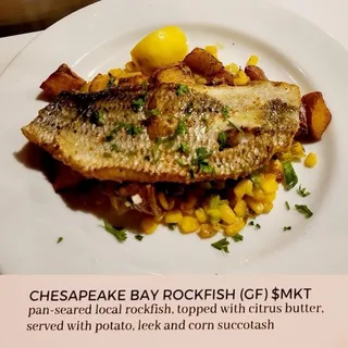 Chesapeake Bay ROCKFISH (GF)