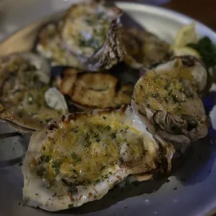 Charbroiled Oysters