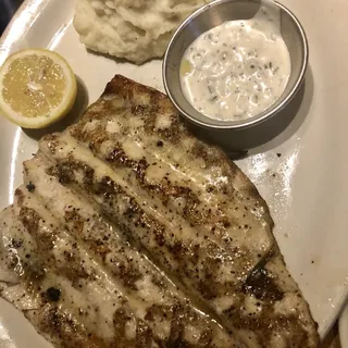 Idaho Trout