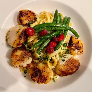 Braised scallops over fettuccine.