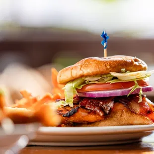 Salmon Club - 
fresh salmon filet, broiled, bacon, basil pesto mayo, lettuce, tomato, brioche