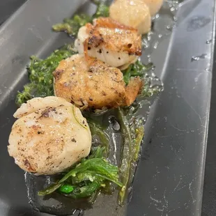 Scallops