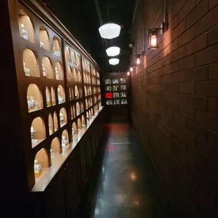 Into the White Rabbit...