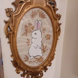 a picture of a white rabbit