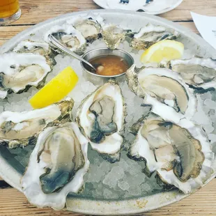 Fresh Oysters