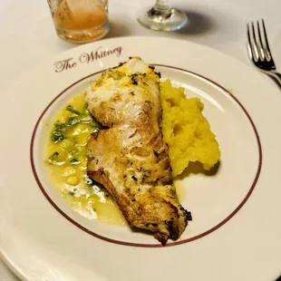 Halibut