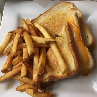 Grilled cheese with tomato and fries