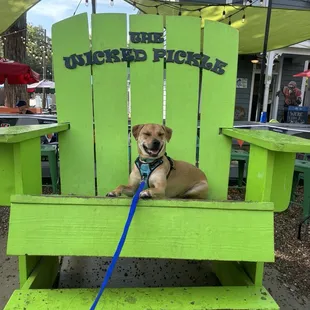 I didn't think to take a food picture