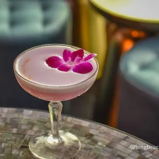 Gin Cocktails | Wicked Wolf Long Beach