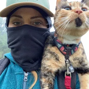 Harley keeping a lookout for forest fairies  #harleytheadventurekitty