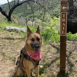 Perfect day for a hike at our favorite place