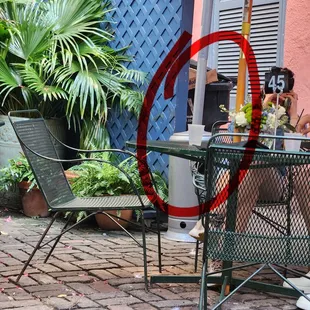 Fans kept the outdoor eating area cool, but eating next to garbage cans and algae killed the ambiance for me.