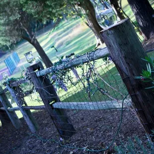a fence with a bird feeder