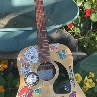 Willow Den is in the strum!