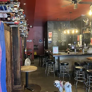 Taproom  - dog friendly!