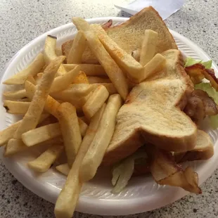 BLT and fries...nothing fancy but delicious