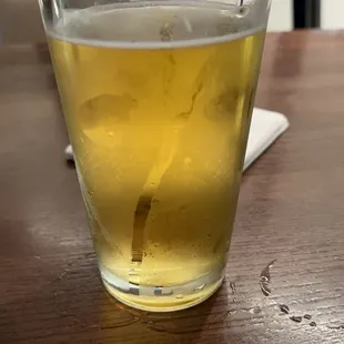 Bud light draft