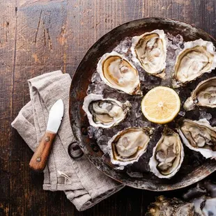 Oysters