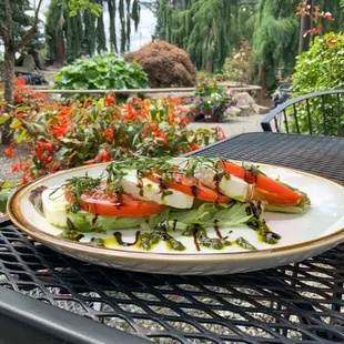 Caprese Salad