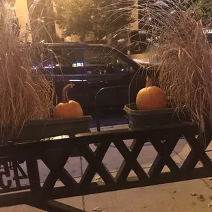 The pumpkins ready for smashing