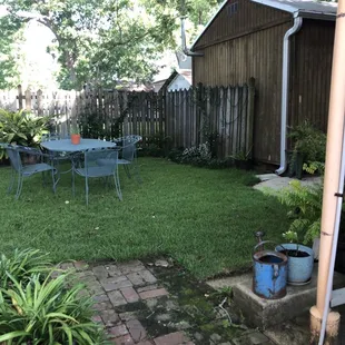 the backyard