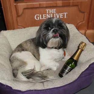 Sookie, the champagne hoarder.