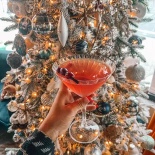 Poinsettia tini