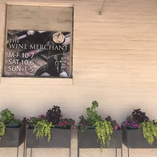 Entrance from back parking lot