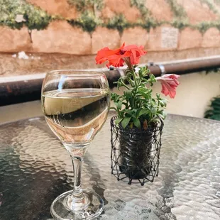 Pinot Gris in the back patio