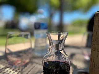 Concannon Vineyard