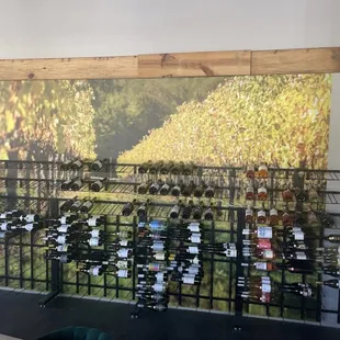 rows of bottles of wine