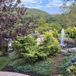 Some of the landscaping