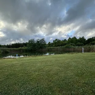 Pond out back