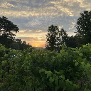 Outside the winery.