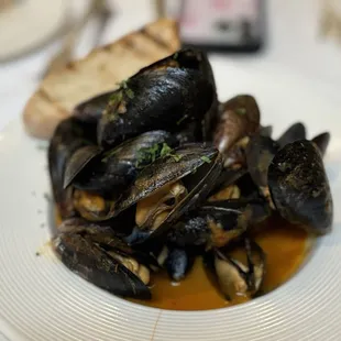 mussels, shellfish, food, oysters and mussels, oysters