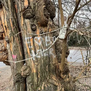 What others have left behind