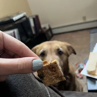 Dog treat