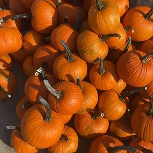 a pile of pumpkins