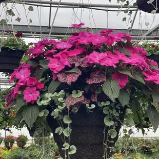 12" Combination Baskets