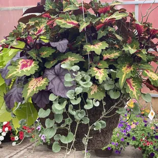Gorgeous Foliage Basket