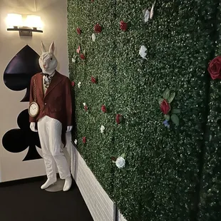 a man dressed in a rabbit suit