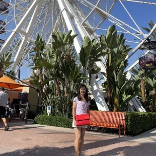 a woman standing in front of a ferris wheel