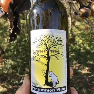 Semi sweet persimmon wine