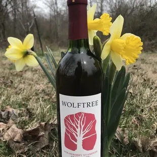 Crazy sweet Strawberry wine