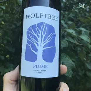 Semi sweet plum wine