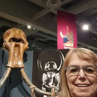 Susan H.