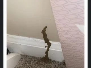 Keeneland Crest Apartments