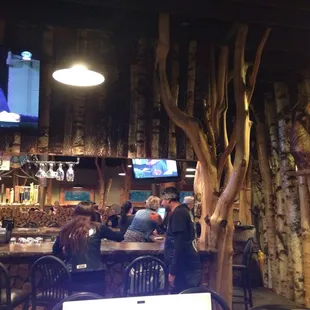 Real trees at The Woods!