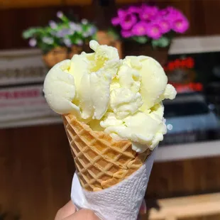 Fresh Kiwi ice cream